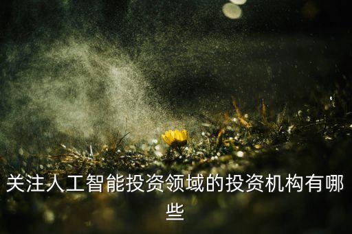 關注人工智能投資領域的投資機構(gòu)有哪些