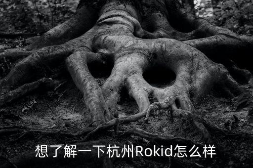 想了解一下杭州Rokid怎么樣