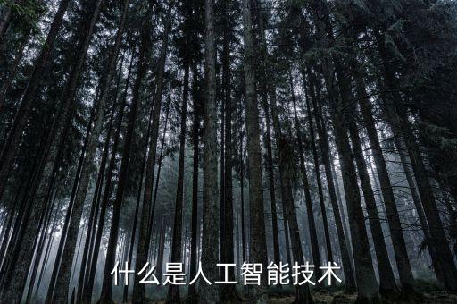 什么是人工智能技術(shù)