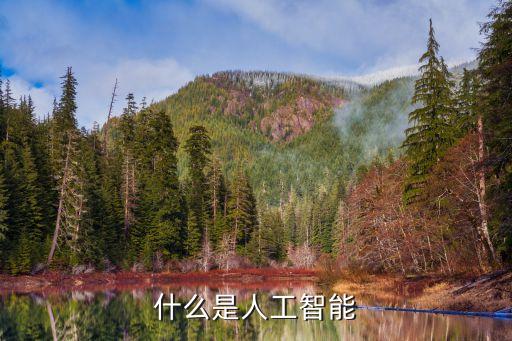 什么是人工智能