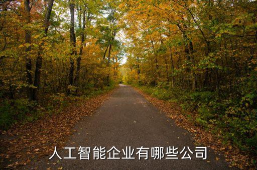 智能科技企業(yè)有哪些，人工智能方面有哪些中國企業(yè)