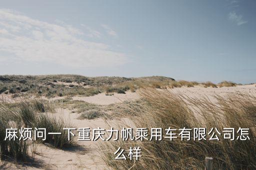 麻煩問(wèn)一下重慶力帆乘用車(chē)有限公司怎么樣