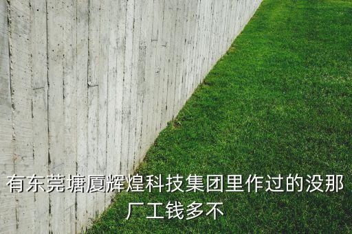 東莞輝煌智能科技怎么樣，有東莞塘廈輝煌科技集團(tuán)里作過的沒那廠工錢多不
