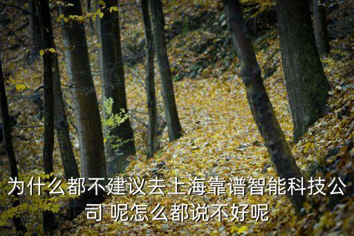 上海西碼智能科技怎么樣，請(qǐng)問誰(shuí)知道上海海日智能科技有限公司怎么樣對(duì)員工好嗎