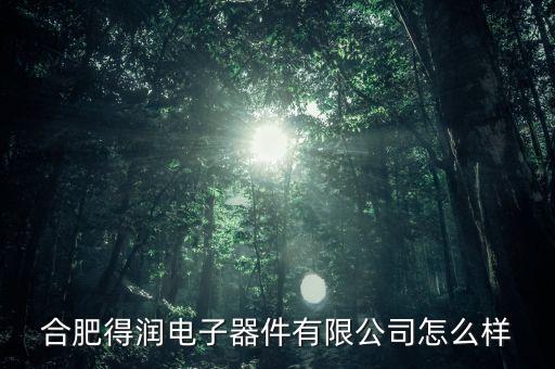 合肥得潤電子器件有限公司怎么樣