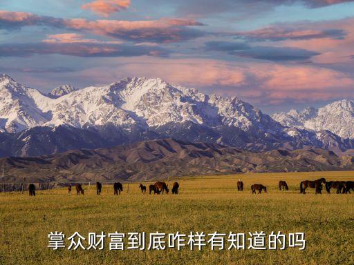 掌眾智能科技怎么樣，一個(gè)平臺(tái)的合規(guī)性主要也要看產(chǎn)品掌眾財(cái)富的產(chǎn)品咋樣