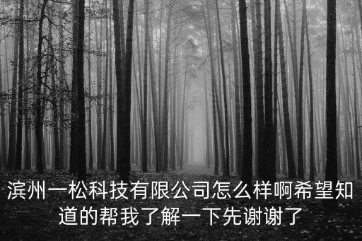 濱州一松科技有限公司怎么樣啊希望知道的幫我了解一下先謝謝了