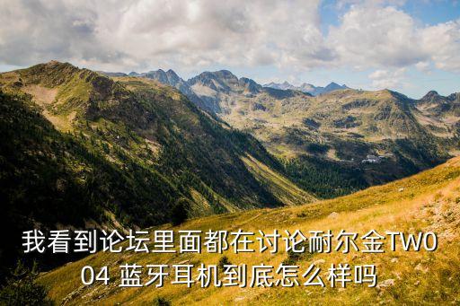 我看到論壇里面都在討論耐爾金TW004 藍(lán)牙耳機(jī)到底怎么樣嗎