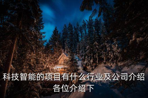 科技智能的項目有什么行業(yè)及公司介紹各位介紹下