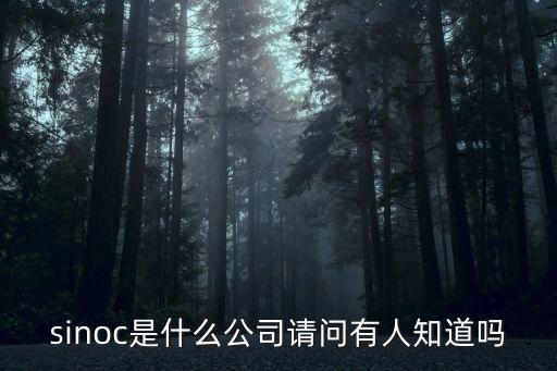 艾立德智能科技怎么樣，sinoc是什么公司請(qǐng)問(wèn)有人知道嗎