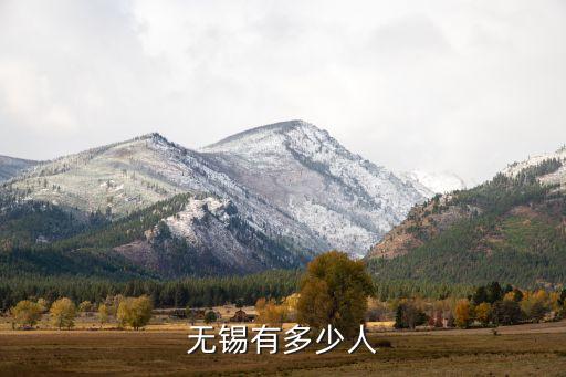 無錫卓品智能科技多少人，無錫有多少人