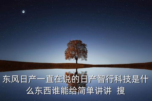 東風日產(chǎn)一直在說的日產(chǎn)智行科技是什么東西誰能給簡單講講  搜
