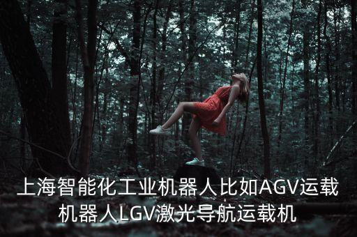 上海智能科技有哪些公司，上海迪邏特智能科技有限公司