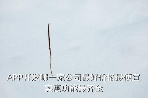 APP開(kāi)發(fā)哪一家公司最好價(jià)格最便宜實(shí)惠功能最齊全