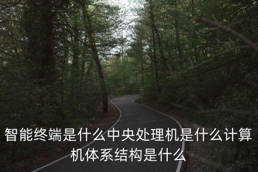 智能終端是什么中央處理機是什么計算機體系結(jié)構(gòu)是什么