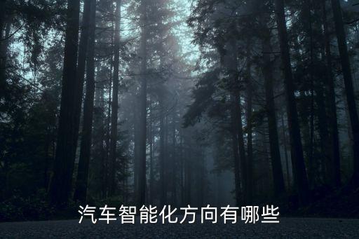 汽車(chē)智能化方向有哪些
