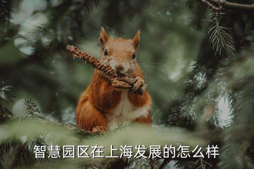 寶山區(qū)智能科技有什么發(fā)展，上海智向科技信息有限公司共涉及哪些領(lǐng)域呢未來(lái)發(fā)展趨勢(shì)怎么樣
