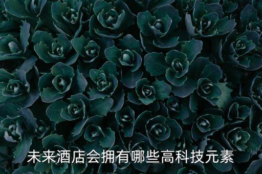 未來酒店會擁有哪些高科技元素