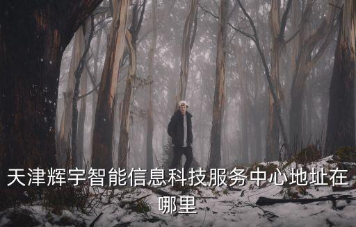 天津輝宇智能信息科技服務(wù)中心地址在哪里