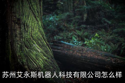蘇州艾永斯機(jī)器人科技有限公司怎么樣