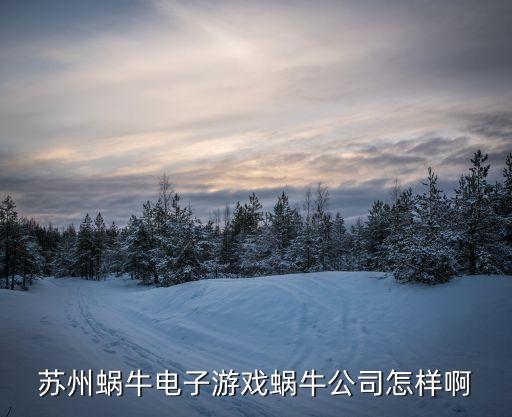 蘇州蝸牛電子游戲蝸牛公司怎樣啊