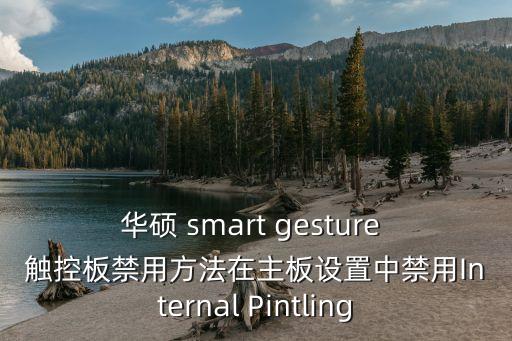 華碩 smart gesture 觸控板禁用方法在主板設(shè)置中禁用Internal Pintling