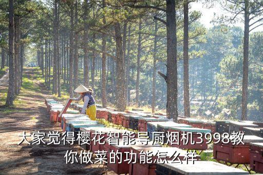 大家覺得櫻花智能導(dǎo)廚煙機(jī)3998教你做菜的功能怎么樣