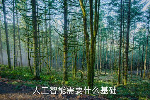 人工智能需要什么基礎(chǔ)