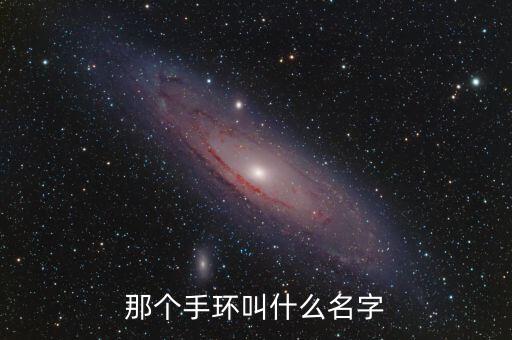 那個手環(huán)叫什么名字