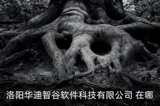 洛陽(yáng)華迪智谷軟件科技有限公司 在哪