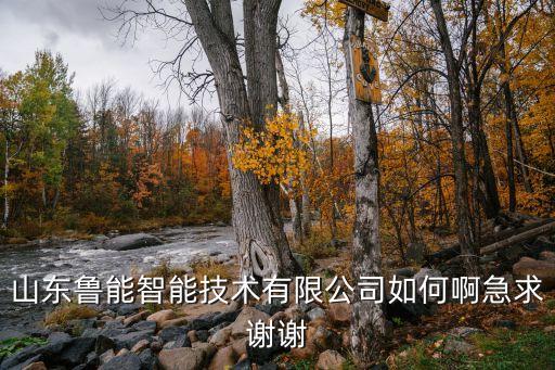 山東魯能智能技術(shù)有限公司如何啊急求謝謝