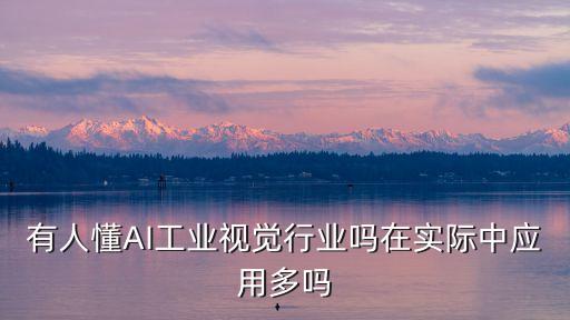 有人懂AI工業(yè)視覺行業(yè)嗎在實(shí)際中應(yīng)用多嗎