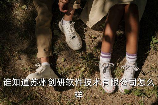 蘇州創(chuàng)濤智能科技怎么樣，儒拉瑪特自動化蘇州有限公司工資怎么樣