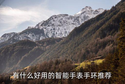 軟件科技智能手表推薦哪個(gè)，智能手表品牌排行榜