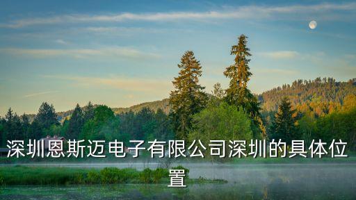 深圳恩斯邁電子有限公司深圳的具體位置
