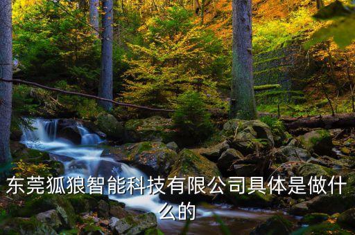 東莞狐狼智能科技有限公司具體是做什么的