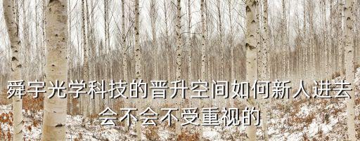 舜宇光學(xué)科技的晉升空間如何新人進(jìn)去會不會不受重視的