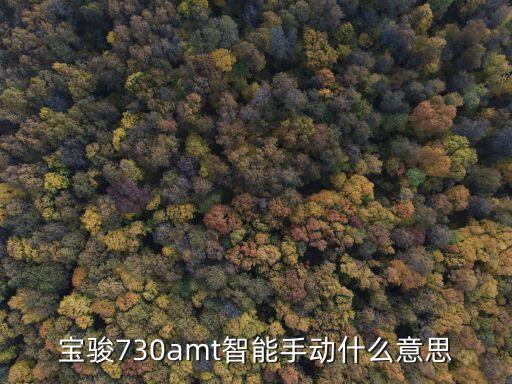 寶駿730amt智能手動什么意思