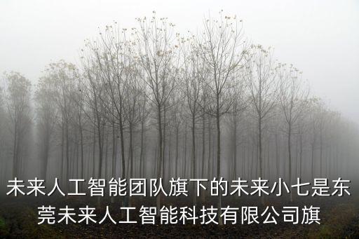 未來人工智能團(tuán)隊(duì)旗下的未來小七是東莞未來人工智能科技有限公司旗