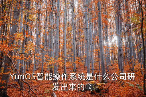YunOS智能操作系統(tǒng)是什么公司研發(fā)出來的啊