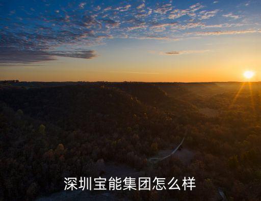 深圳寶能集團(tuán)怎么樣