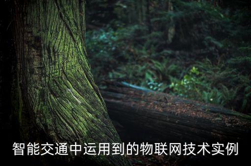 智能交通中運(yùn)用到的物聯(lián)網(wǎng)技術(shù)實(shí)例