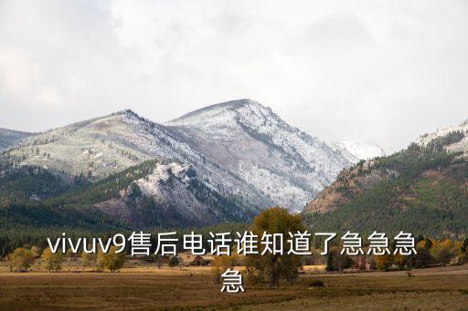 vivuv9售后電話誰知道了急急急急