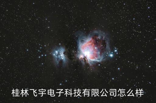 桂林飛宇電子科技有限公司怎么樣