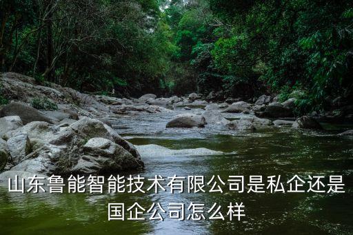 山東魯能智能技術(shù)有限公司是私企還是國(guó)企公司怎么樣