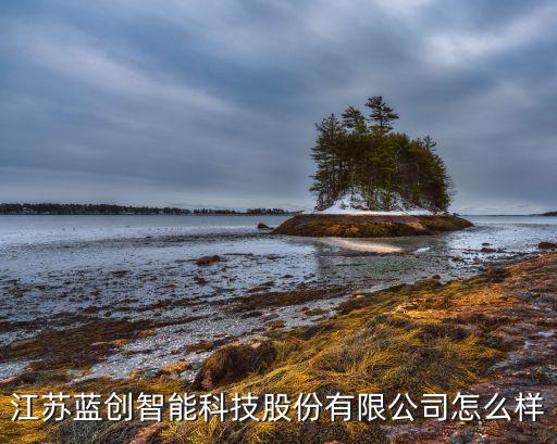 江蘇藍(lán)創(chuàng)智能科技股份有限公司怎么樣