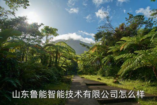 山東魯能智能技術(shù)有限公司怎么樣