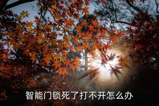 智能門(mén)鎖死了打不開(kāi)怎么辦
