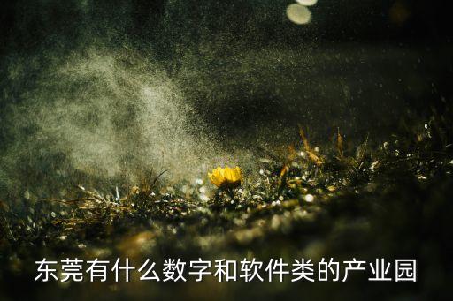 東莞有什么數(shù)字和軟件類的產(chǎn)業(yè)園