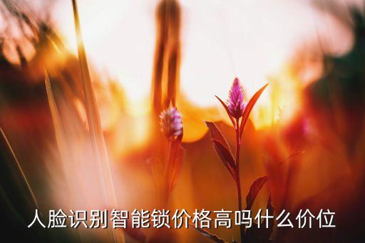 人臉識(shí)別智能鎖價(jià)格高嗎什么價(jià)位